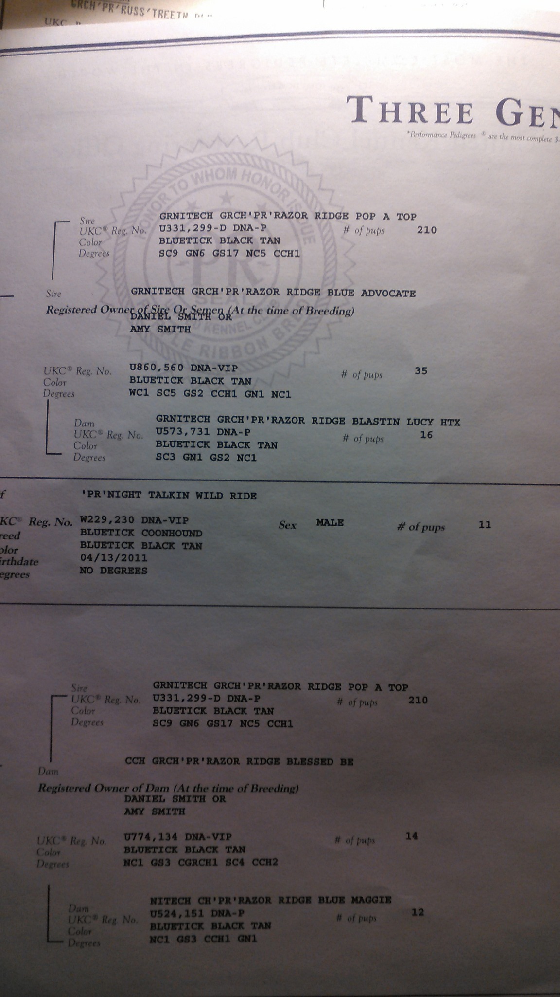 Rider pedigree page one
